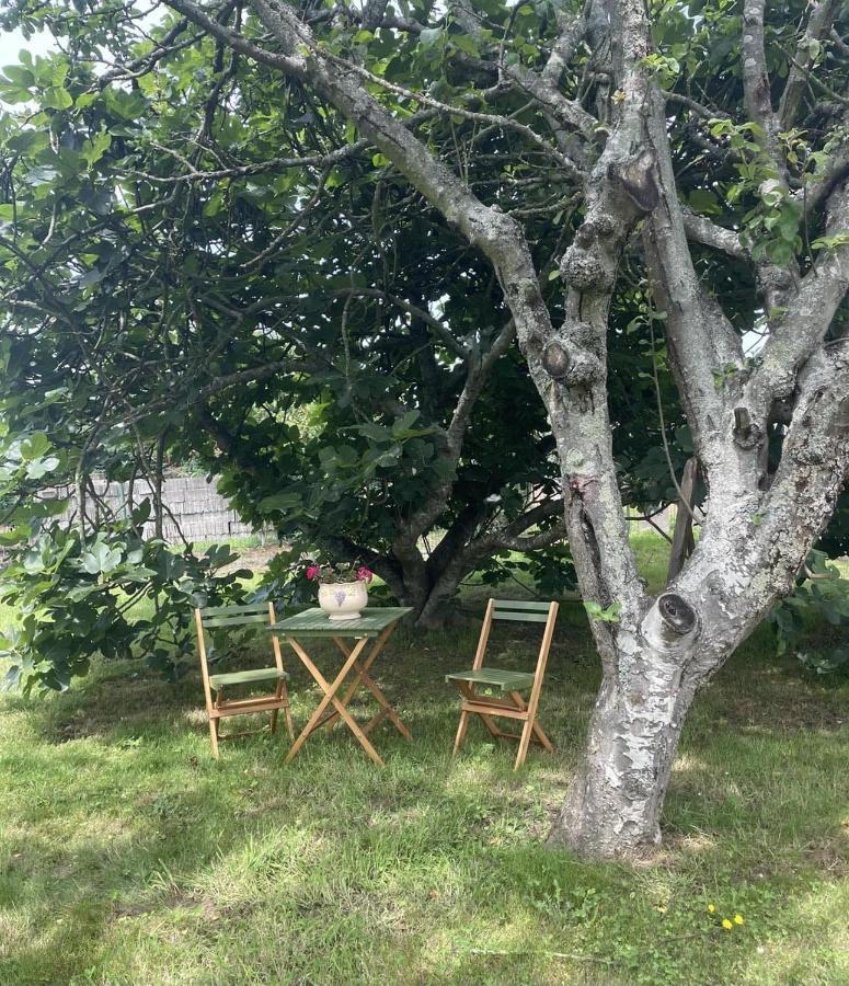 Haz De Mi Rincon En Mugardos Tu Experiencia. Βίλα Εξωτερικό φωτογραφία